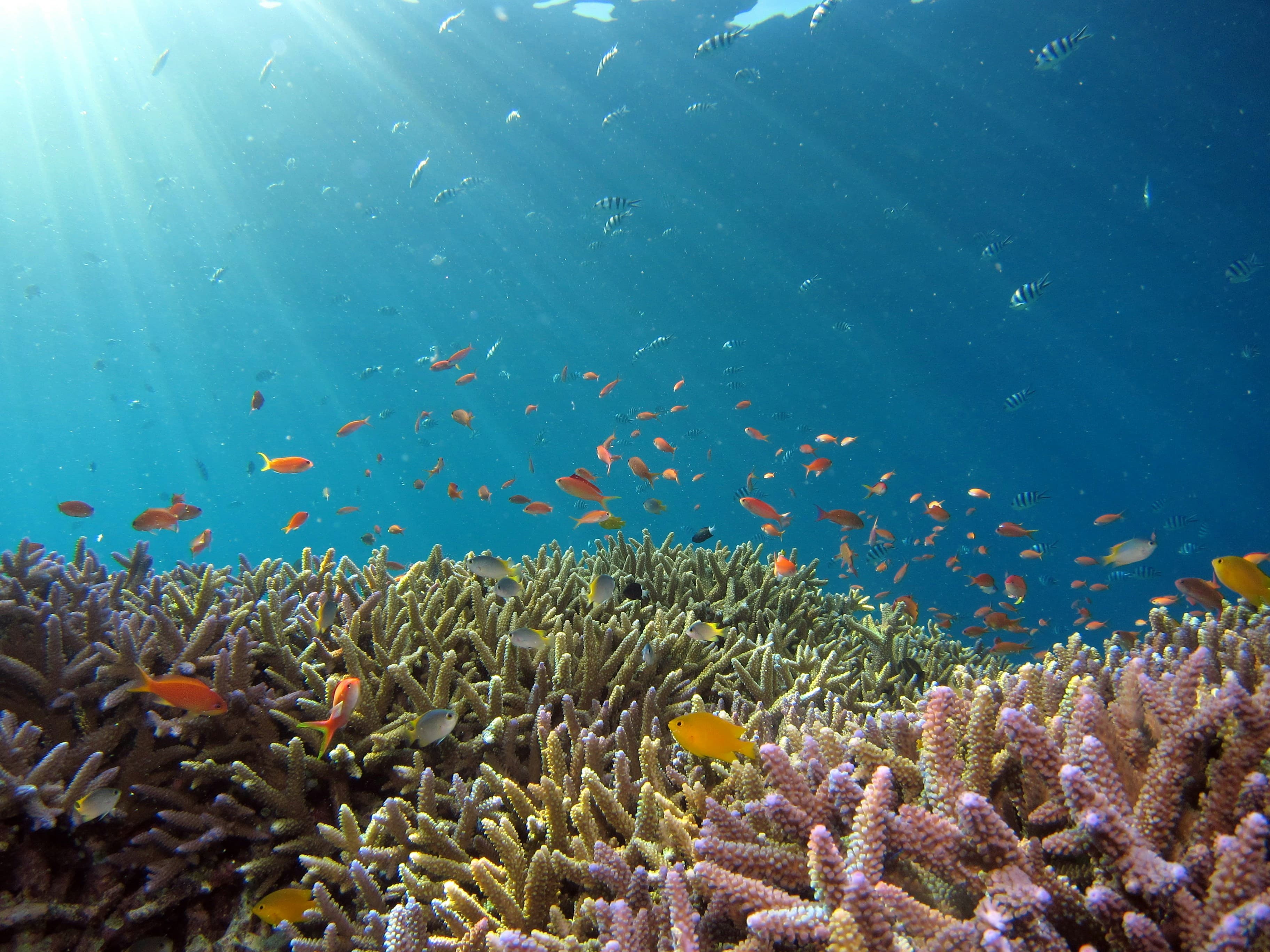 Lakshadweep